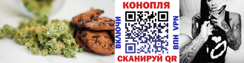 Canna-Cookies марихуана  Магас 
