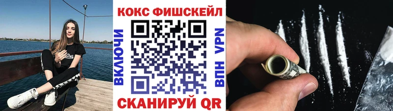 Кокаин FishScale  Магас 