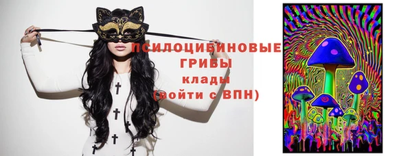 ГАЛЛЮЦИНОГЕННЫЕ ГРИБЫ Лагань