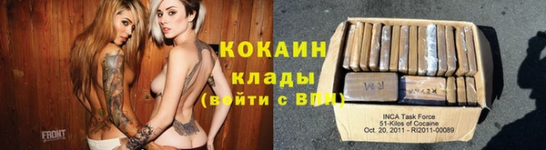 ГАЛЛЮЦИНОГЕННЫЕ ГРИБЫ Лагань