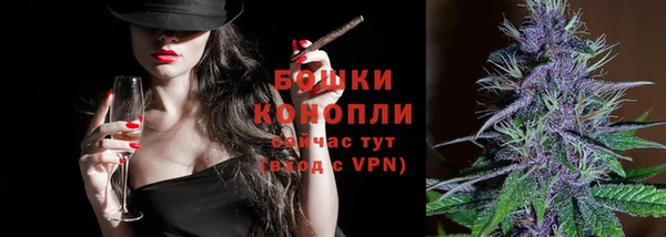 ГАЛЛЮЦИНОГЕННЫЕ ГРИБЫ Лабытнанги