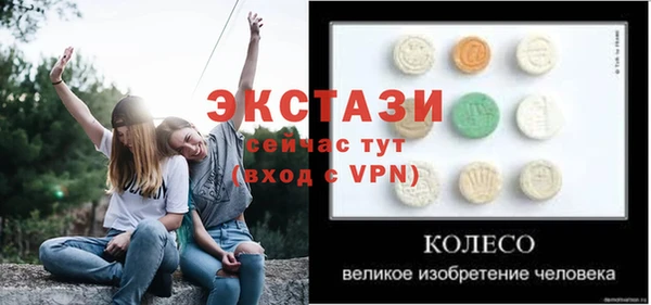 ГАЛЛЮЦИНОГЕННЫЕ ГРИБЫ Лагань
