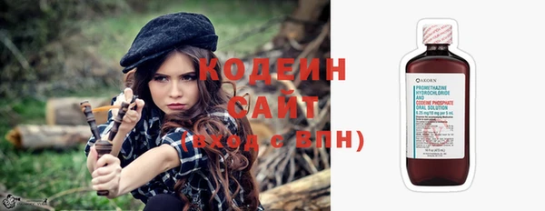 ГАЛЛЮЦИНОГЕННЫЕ ГРИБЫ Лагань