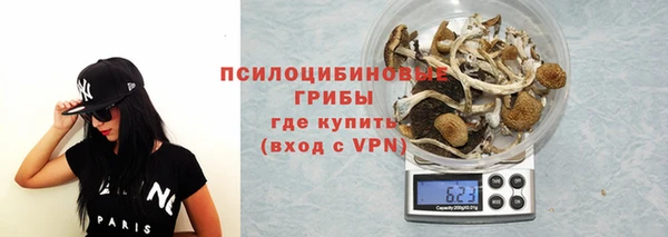 ГАЛЛЮЦИНОГЕННЫЕ ГРИБЫ Лабытнанги