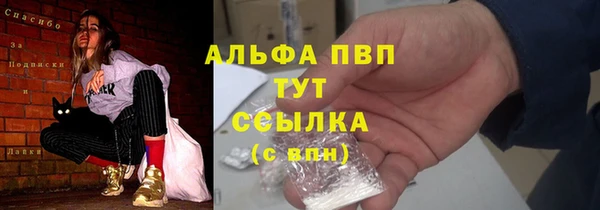 ГАЛЛЮЦИНОГЕННЫЕ ГРИБЫ Лагань