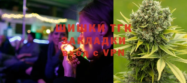 крисы Кулебаки