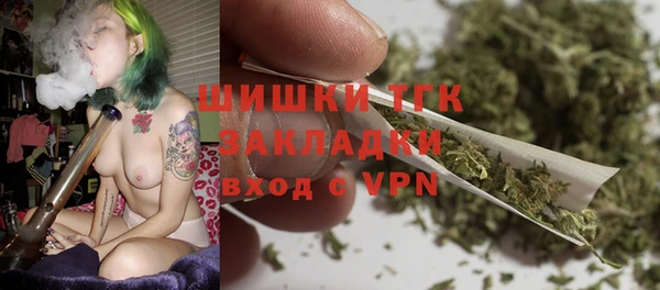 ГАЛЛЮЦИНОГЕННЫЕ ГРИБЫ Лагань
