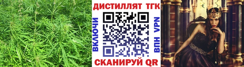 ТГК гашишное масло  KRAKEN ONION  Магас 