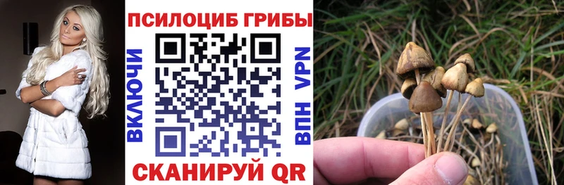 Псилоцибиновые грибы MAGIC MUSHROOMS  купить  сайты  Магас 